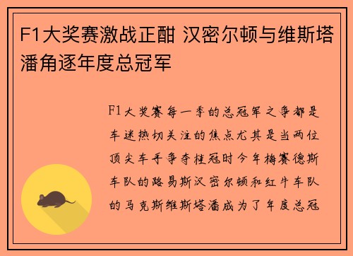 F1大奖赛激战正酣 汉密尔顿与维斯塔潘角逐年度总冠军